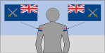 Flags on uniforms
