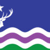 Shows the Exmoor Flag: wavy horizontal lines of green, white, purple and white' above is a blue field bearing a stag's head with star above, both in white