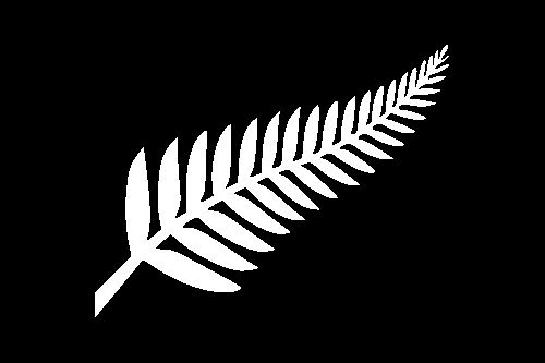 New Zealand Fern Flag 5' x 3' 