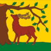 Berkshire flag: a stag reaching for the branches of an oak tree, in natural colours, on a yellow background