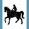 Coventry Flag: a naked woman on a horse, black on a white panel; light blue panels to left and right